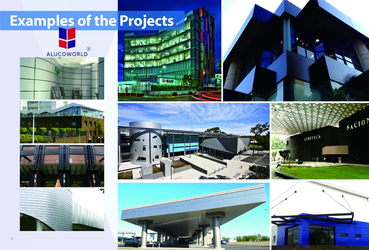 Examples of the Projects